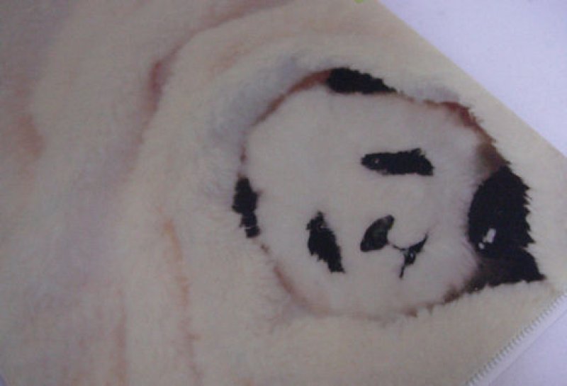 画像1: 120202 ふかふか〜パンダマニア A5サイズ3ポケクリアホルダー《ゆうパケットOK》 (1)