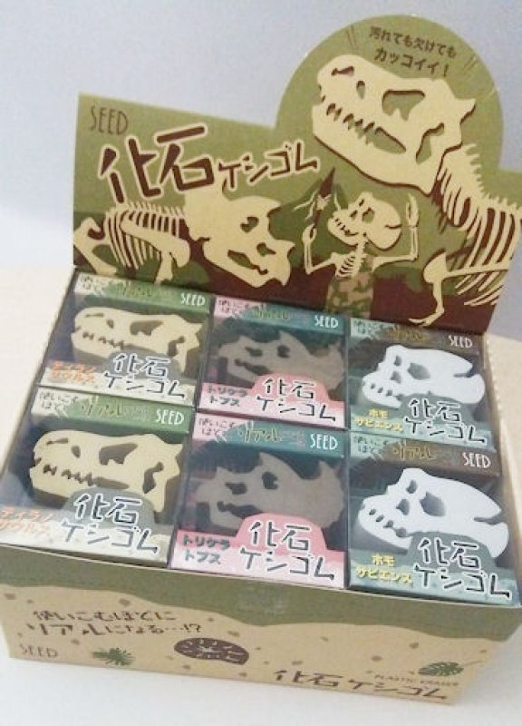 画像1: 160220 SEED 化石消しゴム《ゆうパケットOK》 (1)