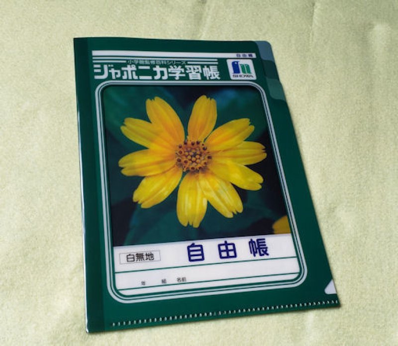 画像1: 191103 ジャポニカ学習帳文具シリーズ　A5サイズ3ポケットファイル＜ゆうパケットOK》 (1)