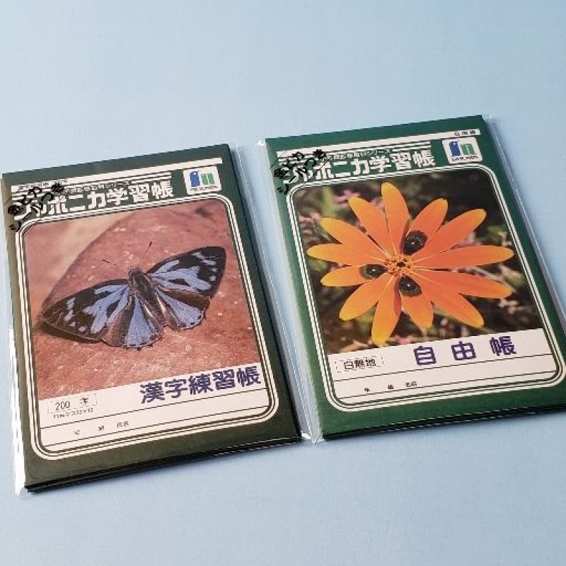 しほ　小学生用学習教材【46冊まとめ売り】 漢字練習帳 B-2 (2年生用） 小学生教材 : 幼児・小学生教材の