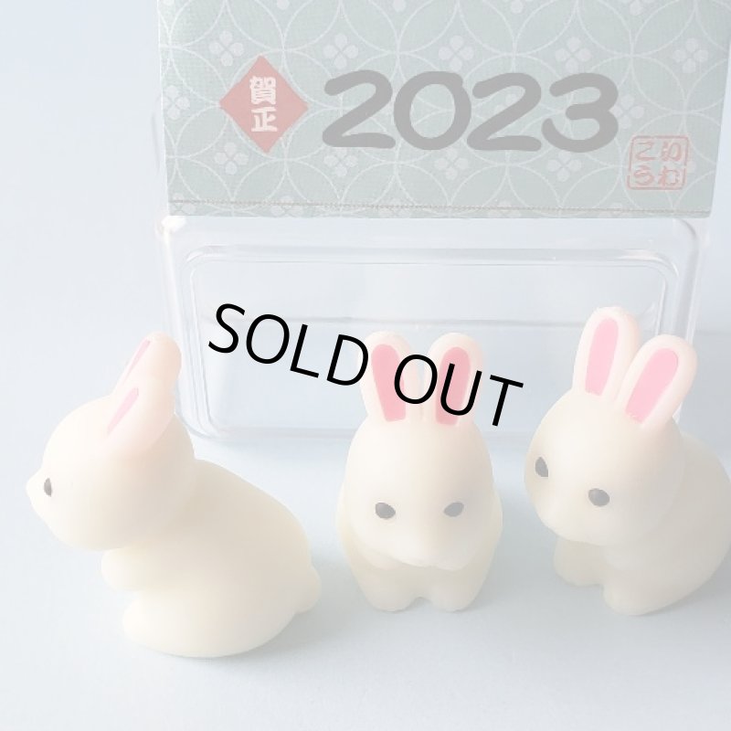 うさぎ消しゴム 230129 代理購入 イワコー社 ケース入り光るうさぎ消しゴム