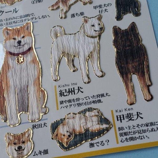 画像1: 171014　新柄は日本犬＆猫柄　☆大人の図鑑シール＜ゆうパケットOK> (1)