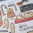 画像2: 171014　新柄はお米＆歯＆町中華　☆大人の図鑑シール＜ゆうパケットOK> (2)