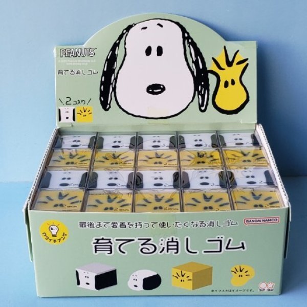 画像1: 250629 SNOOPY&WOODSTOCK 育てるケシゴム《ゆうパケットOK》 (1)