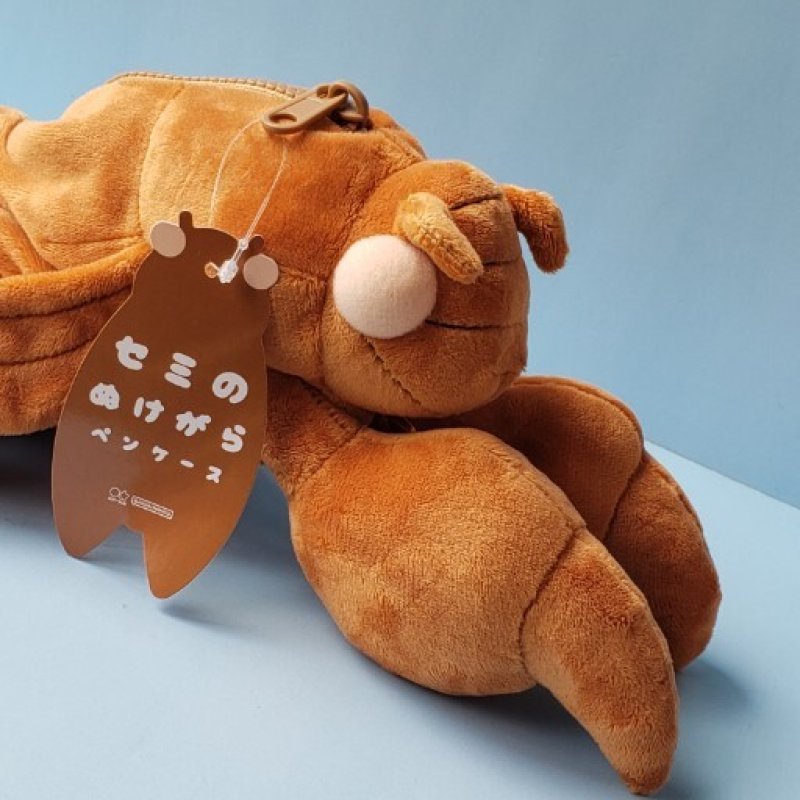画像1: 250830 セミのぬけがらペンケース＜ゆうパケットNG> (1)